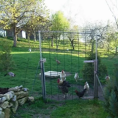 Naturfreundepension Hagenberger Fuer Erwachsene 3*