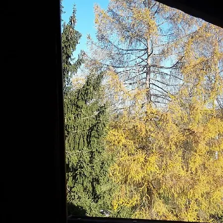 Gæstehus Naturfreundepension Hagenberger Fuer Erwachsene Witzmannsberg